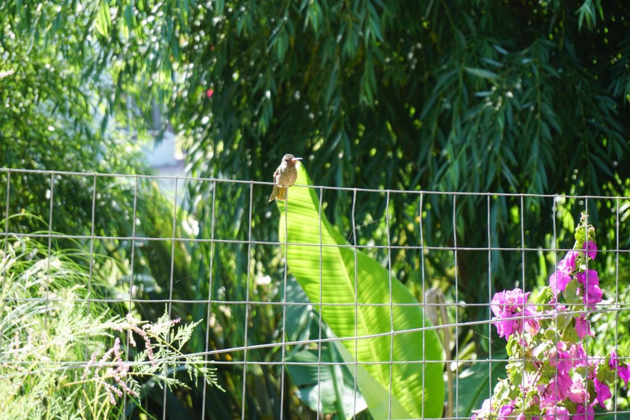 Complejo Aguazul Villa La Pedrera Ngoại thất bức ảnh
